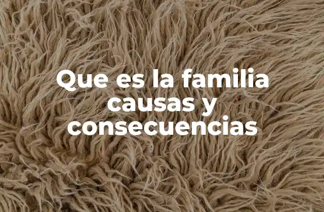 Que es la Familia Causas y Consecuencias