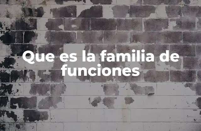 Que es la Familia de Funciones