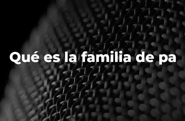 Qué es la Familia de Pa 2 Cómo se define una familia de productos asociados
