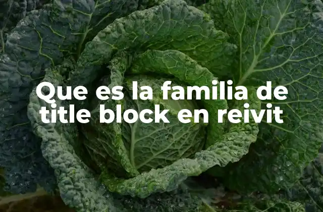Que es la Familia de Title Block en Reivit