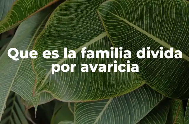 Que es la Familia Divida por Avaricia
