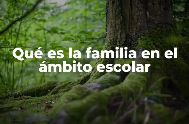 Qué es la Familia en el Ámbito Escolar
