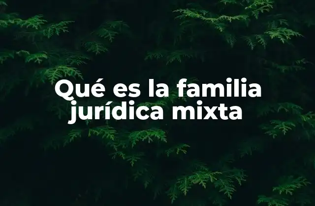 Qué es la Familia Jurídica Mixta