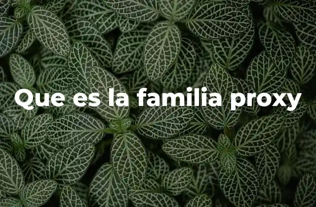 Que es la Familia Proxy