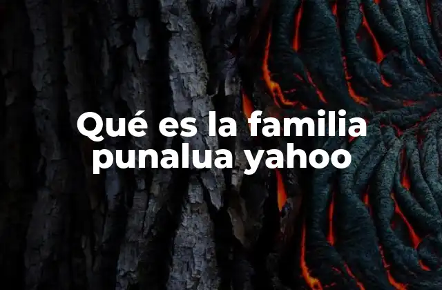 Qué es la Familia Punalua Yahoo
