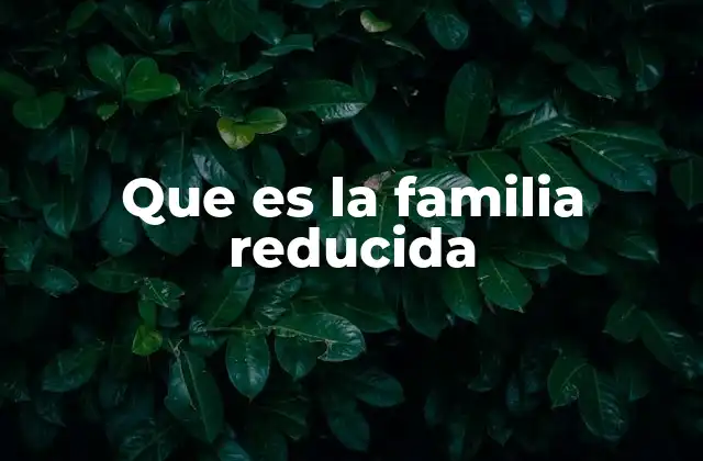 Que es la Familia Reducida 2 Características de la familia reducida en la sociedad actual