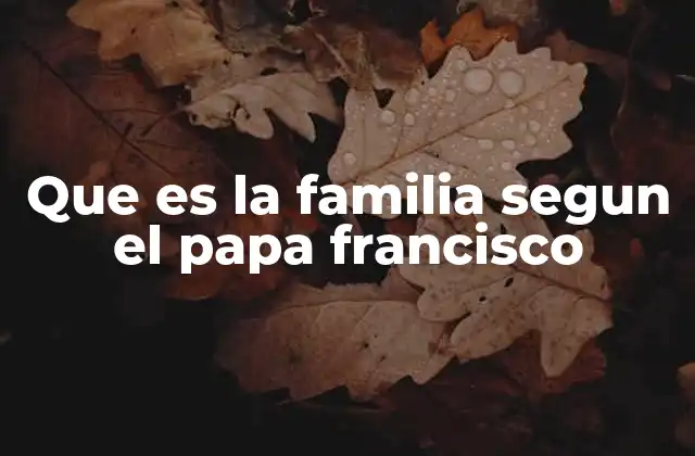 Que es la Familia Segun el Papa Francisco