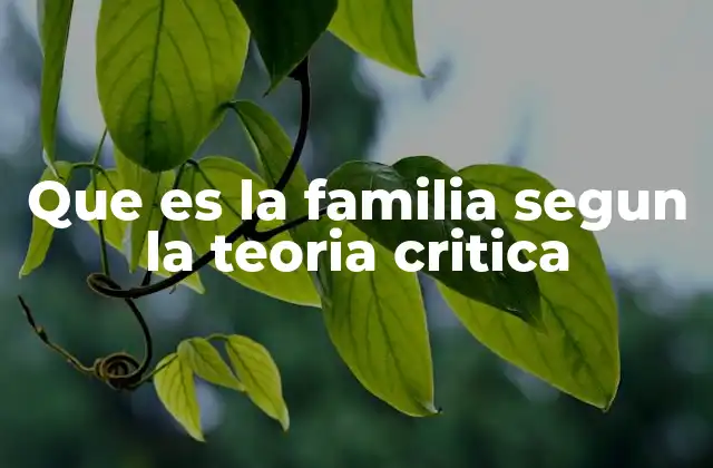 Que es la Familia Segun la Teoria Critica