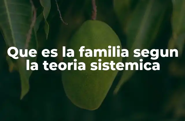 Que es la Familia Segun la Teoria Sistemica
