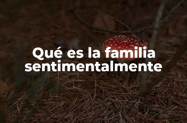 Qué es la Familia Sentimentalmente 2 La importancia emocional de las relaciones familiares