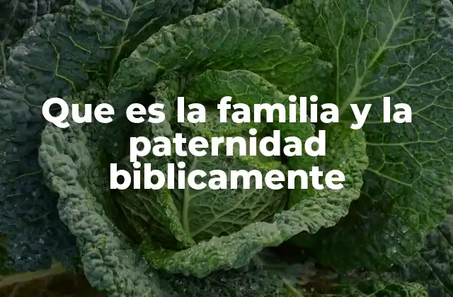 Que es la Familia y la Paternidad Biblicamente
