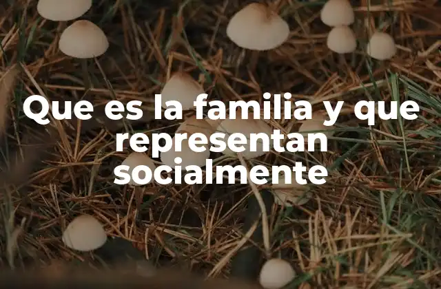 Que es la Familia y que Representan Socialmente