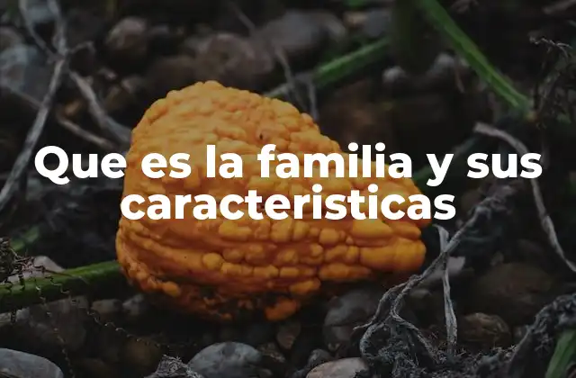 Que es la Familia y Sus Caracteristicas