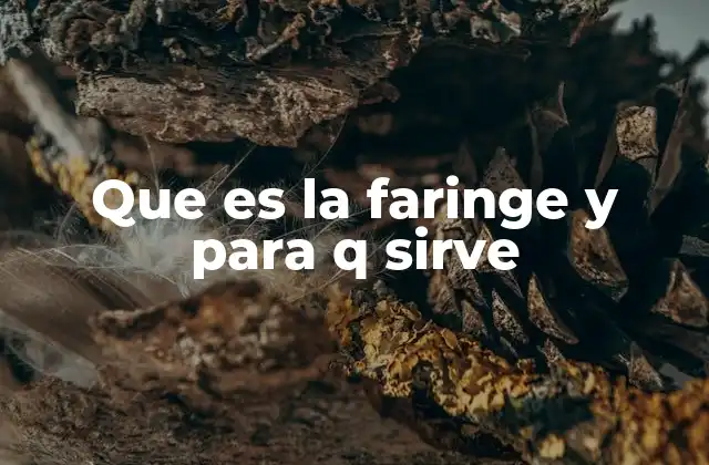 Que es la Faringe y para Q Sirve