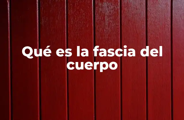 Qué es la Fascia Del Cuerpo