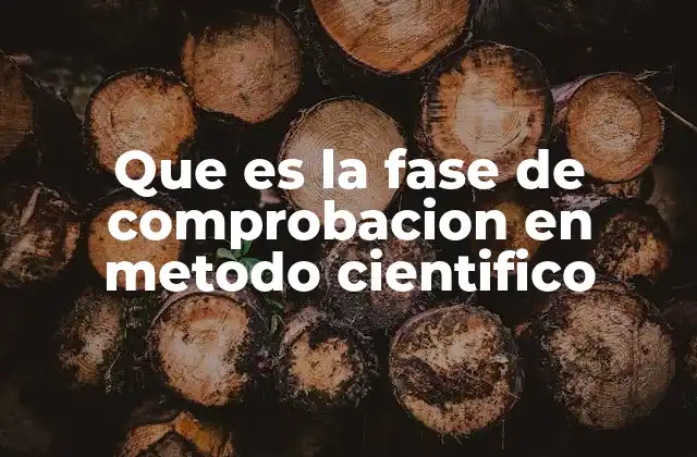 La importancia del experimento en la comprobación científica