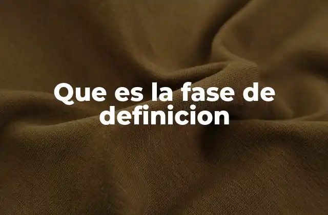 Que es la Fase de Definicion