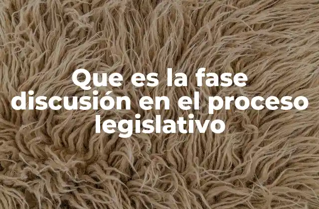 Que es la Fase Discusión en el Proceso Legislativo