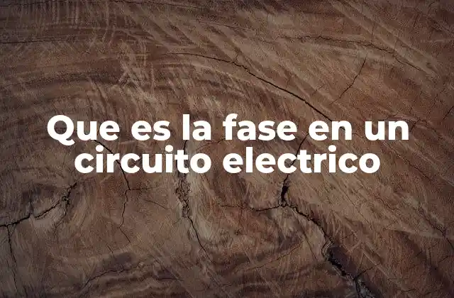 Que es la Fase en un Circuito Electrico
