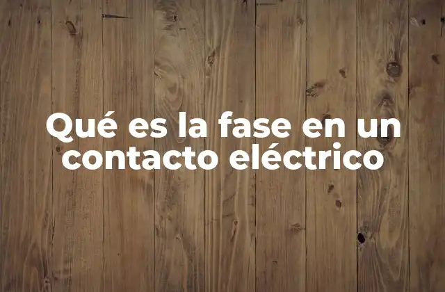 Qué es la Fase en un Contacto Eléctrico