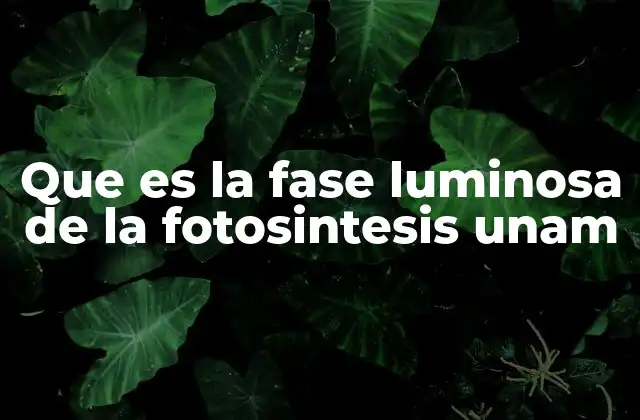 Que es la Fase Luminosa de la Fotosintesis Unam