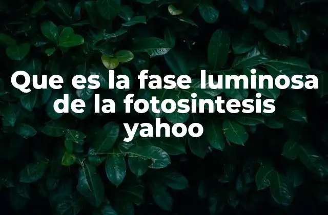 Que es la Fase Luminosa de la Fotosintesis Yahoo