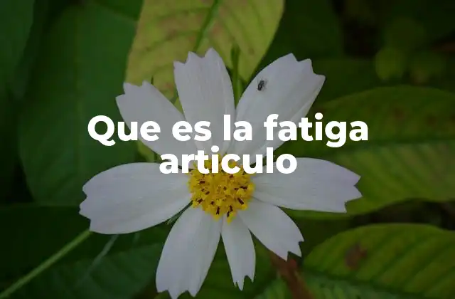 Que es la Fatiga Articulo