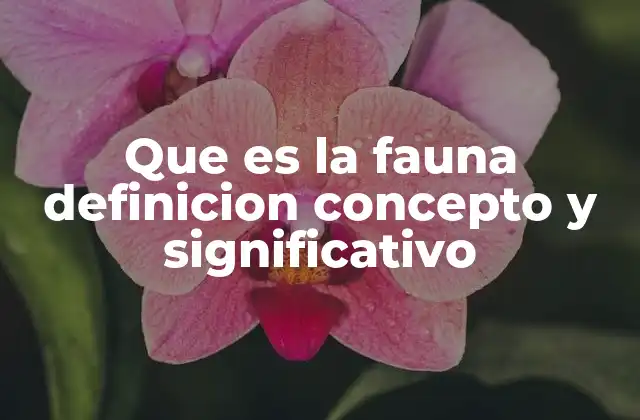 Que es la Fauna Definicion Concepto y Significativo