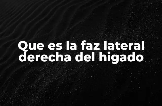 Que es la Faz Lateral Derecha Del Higado 2 La estructura anatómica del hígado y su división en caras