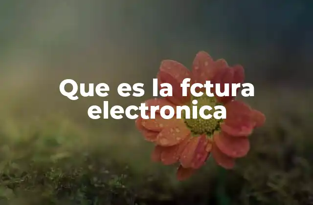 Que es la Fctura Electronica