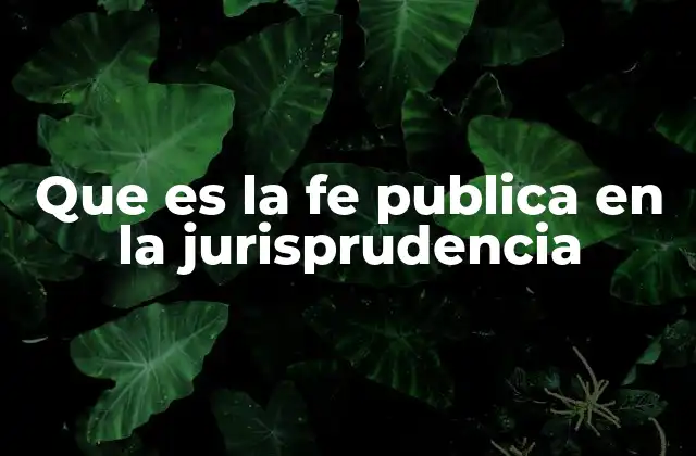 Que es la Fe Publica en la Jurisprudencia