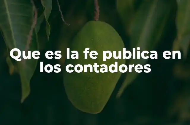 Que es la Fe Publica en los Contadores