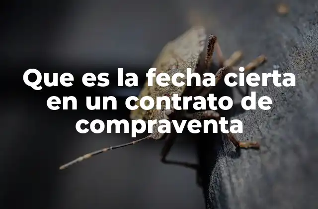 Que es la Fecha Cierta en un Contrato de Compraventa 2 La importancia de establecer una fecha cierta en un contrato