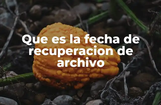 Que es la Fecha de Recuperacion de Archivo
