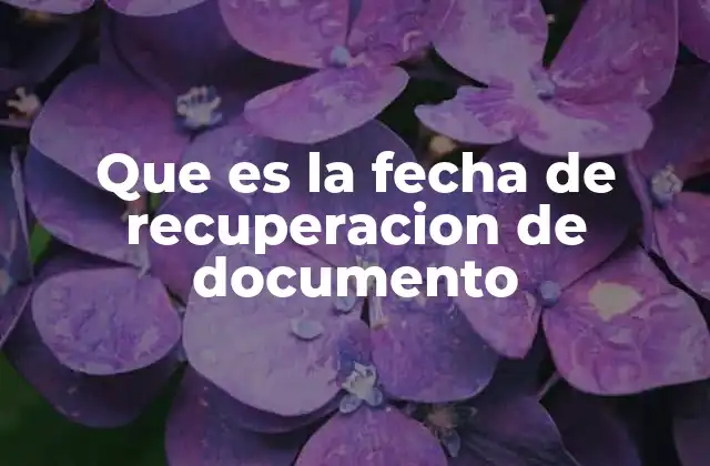Que es la Fecha de Recuperacion de Documento