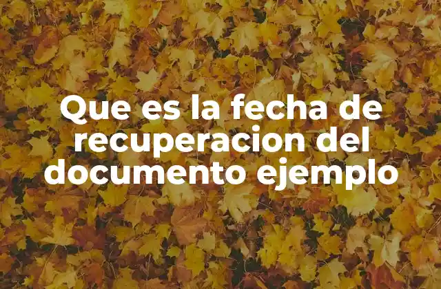 Que es la Fecha de Recuperacion Del Documento Ejemplo