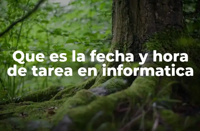 Que es la Fecha y Hora de Tarea en Informatica