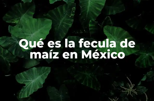 Qué es la Fecula de Maíz en México