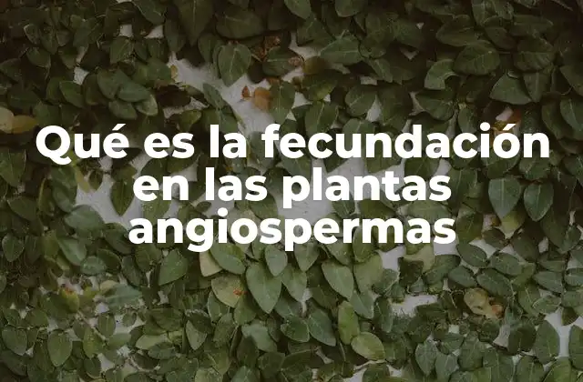 Qué es la Fecundación en las Plantas Angiospermas