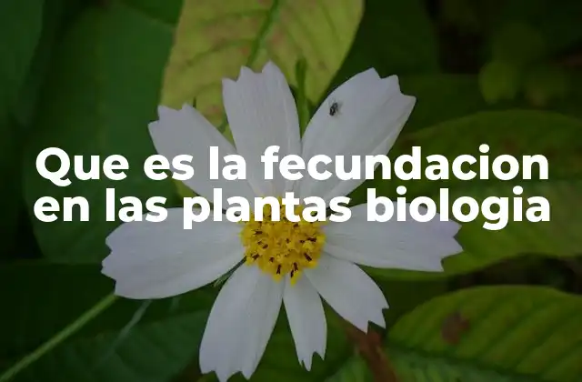 Que es la Fecundacion en las Plantas Biologia