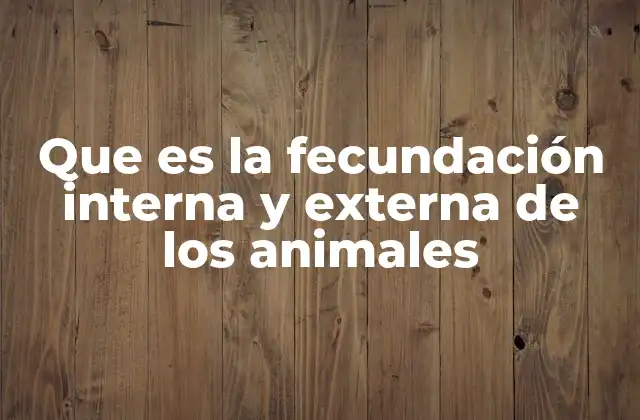 Que es la Fecundación Interna y Externa de los Animales