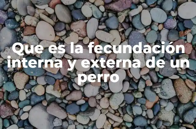 Que es la Fecundación Interna y Externa de un Perro