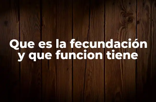 Que es la Fecundación y que Funcion Tiene 2 El proceso biológico detrás de la formación de un nuevo individuo