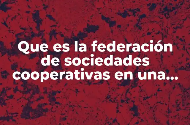 Que es la Federación de Sociedades Cooperativas en una Comunidad