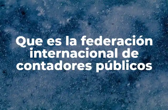 Que es la Federación Internacional de Contadores Públicos