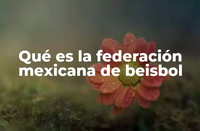 Qué es la Federación Mexicana de Beisbol 2 El papel de la Federación en la formación de talento beisbolístico
