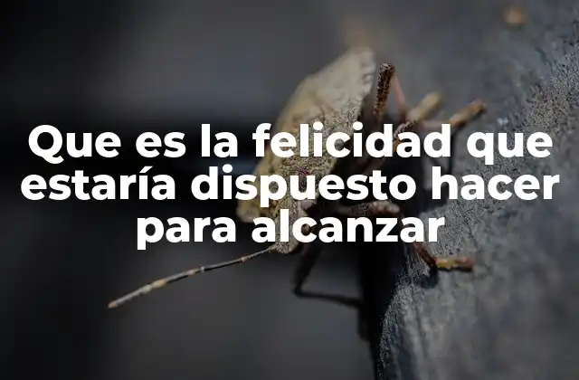 Que es la Felicidad que Estaría Dispuesto Hacer para Alcanzar