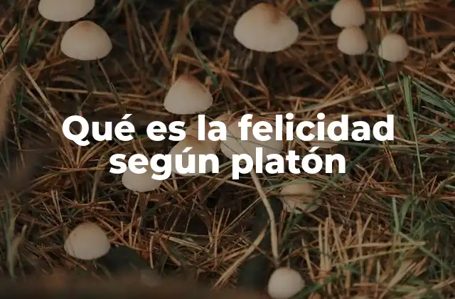 Qué es la Felicidad según Platón