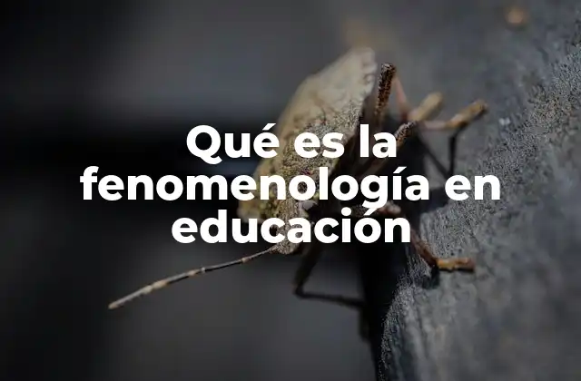 Qué es la Fenomenología en Educación