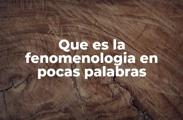 Que es la Fenomenologia en Pocas Palabras